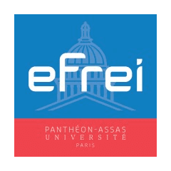 Efrei logo