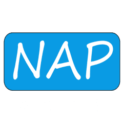 NAP Security logo